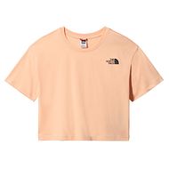 THE NORTH FACE Cropped Simple Dome Tee APRICO ORANGE